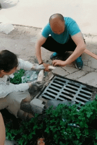 |搞笑GIF:什么良辰吉日,都给我等一会!