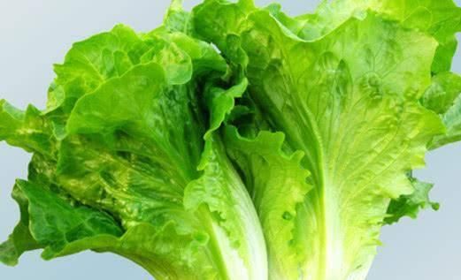 苋菜|坐月子不能吃香菜吗？月子里吃蔬菜，5吃5不吃，有营养才健康