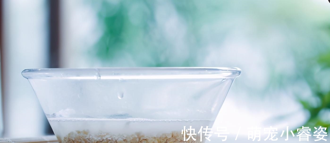 燕麦|牛奶和它是天生一对,隔3天吃一次,小脸红润水灵,像剥壳的鸡蛋