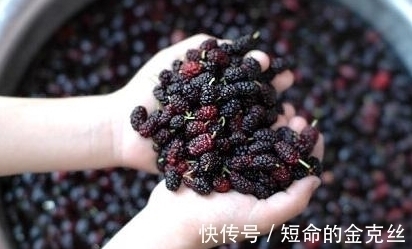 蝌蚪|孕妇梦到这4件事,是吉兆,预示是男宝宝且大有作为