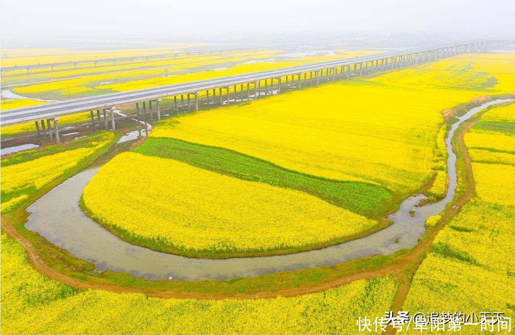 多图直击！阜阳这地方，再次爆红！为啥呢？