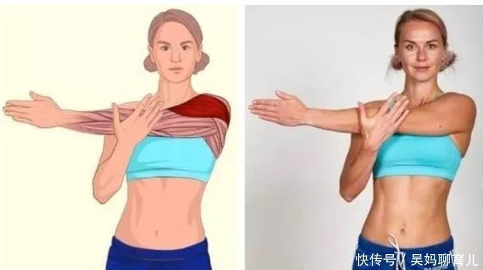 腘绳肌|全身拉筋3D图解，一步到位，在家也能强身健体