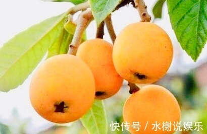 救命果|女性不想感冒，多食此“救命果”，失眠没了，能让子宫越来越干净