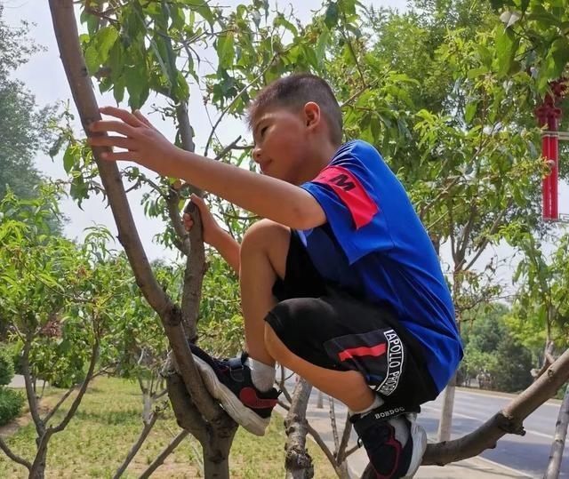 健全|“双减政策”下,父母想清楚这三点便不再焦虑