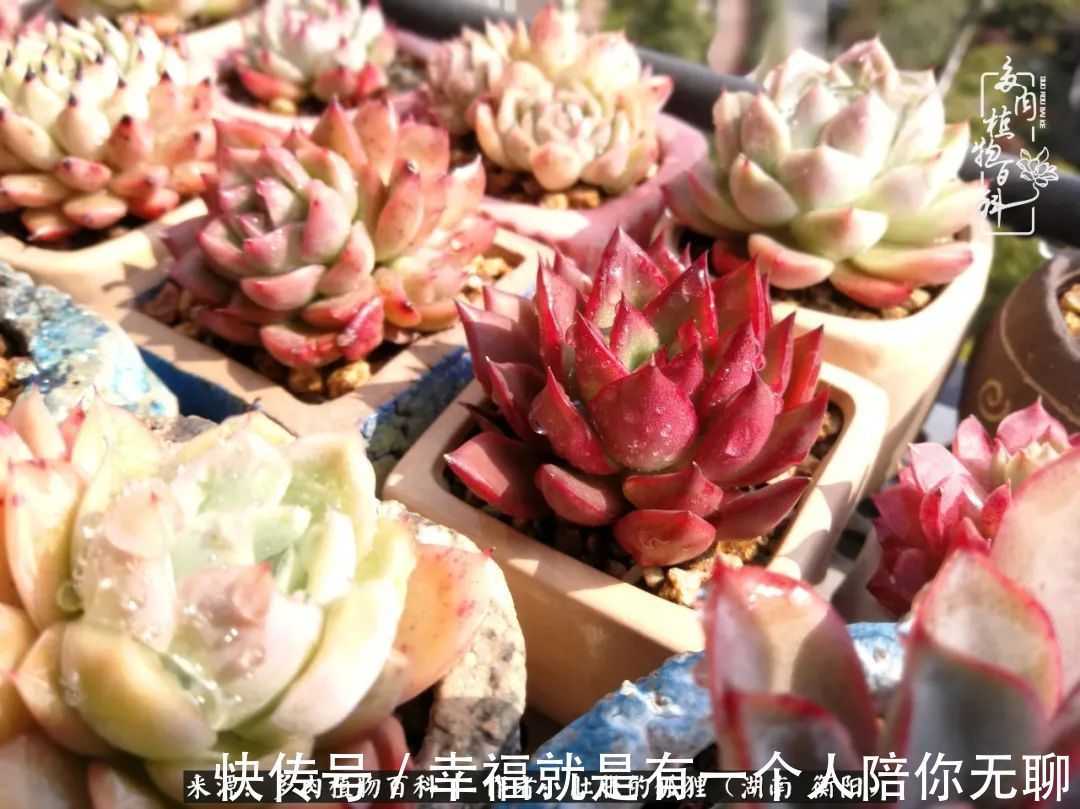 爱这一片缤纷的色彩,因为我们都是好色之徒!