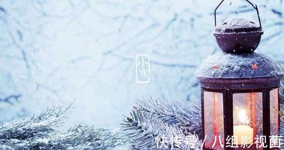 梅花饺!小寒时节,让我们一起走进诗词,感受属于“小寒”的那份韵味。