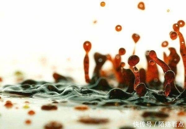 地球上最“神秘”的6大自然奇迹,你见过其中之一吗?