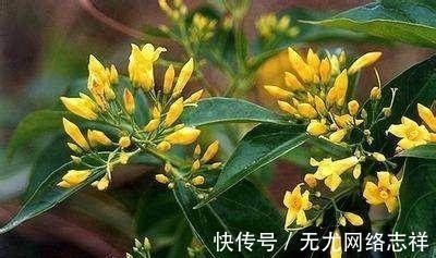 鹤顶红$中国古代九大毒药，只识一味“鸩”，了解其余八种以后穿越不吃亏