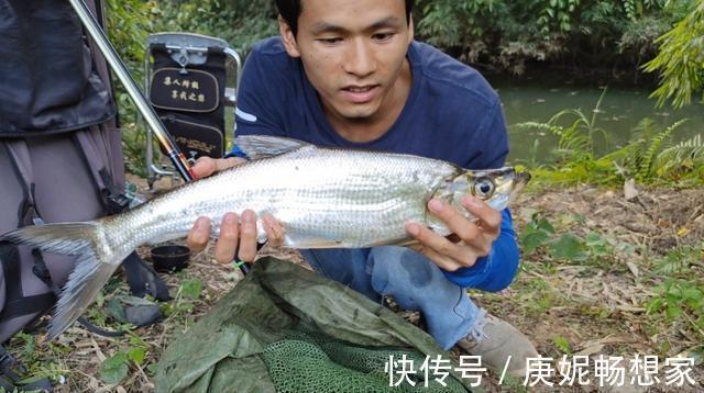 切线跑的鱼，鱼就会死掉？不一定，鱼会“想方设法”活下来！