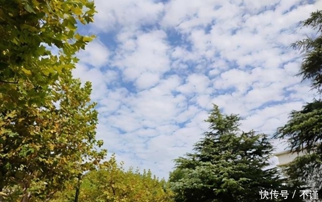 R2|「集微拆评」坚果R2评测:旗舰配置加独有功能,手机更好用了