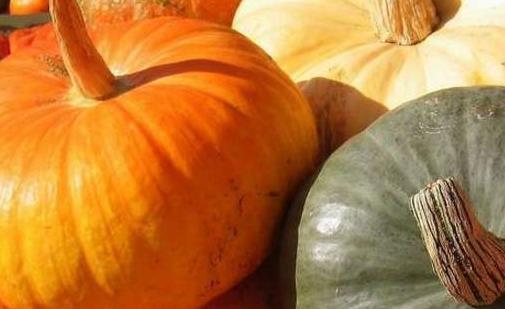 更年期|到了更年期，女性雌激素下降，成黄脸婆？多吃这种食物，有好气色