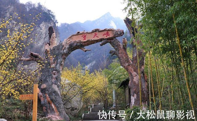 武当山|南阳超小众景区，景色不输武当山，被誉为天然物种宝库