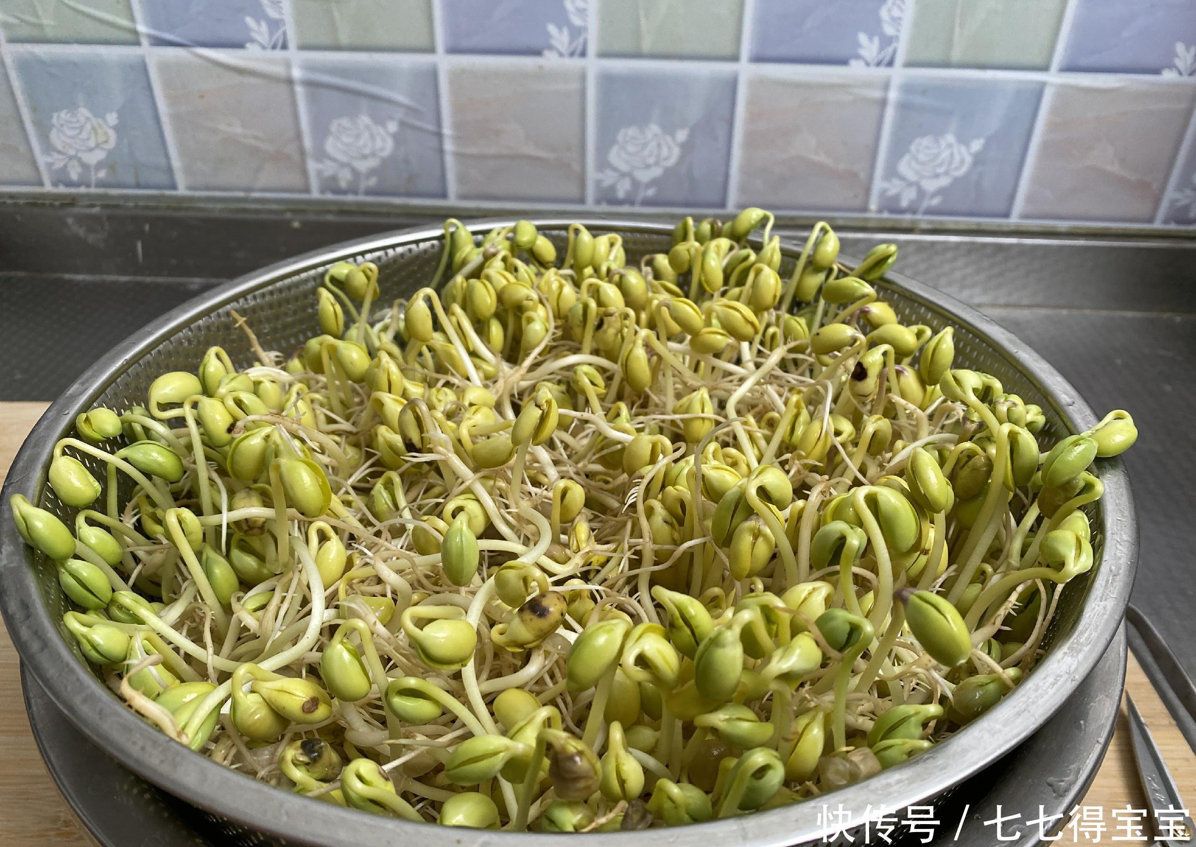 在家发豆芽的秘方,老妈用了半辈子,营养脆嫩又卫生,5天就能吃