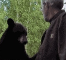 |搞笑GIF:这就有点看不懂了,同样是妹子,为什么她就那么优秀?