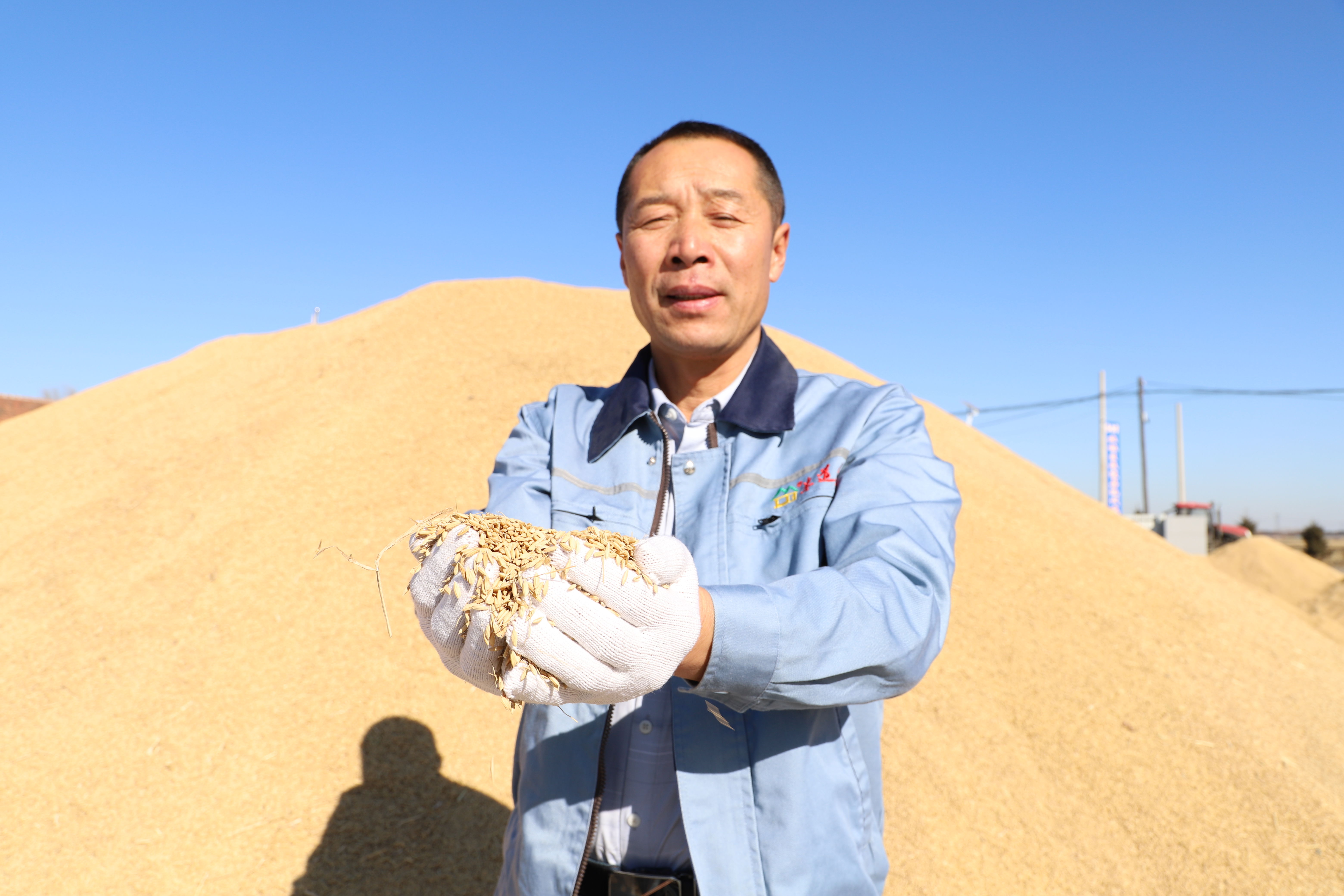 冬闲之际，种粮大户流转土地贷款只需“点一点”|乡村振兴| 乡村