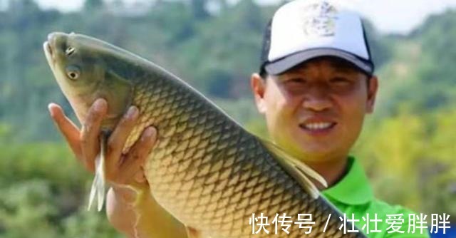 草鱼|你别说，热天唯独这草鱼饵才最实用，不吹不黑，试过的人无一不服！