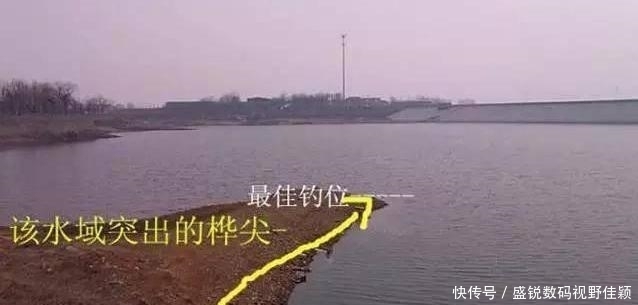 钓位|老钓手,打死不说的4种“好钓位”!