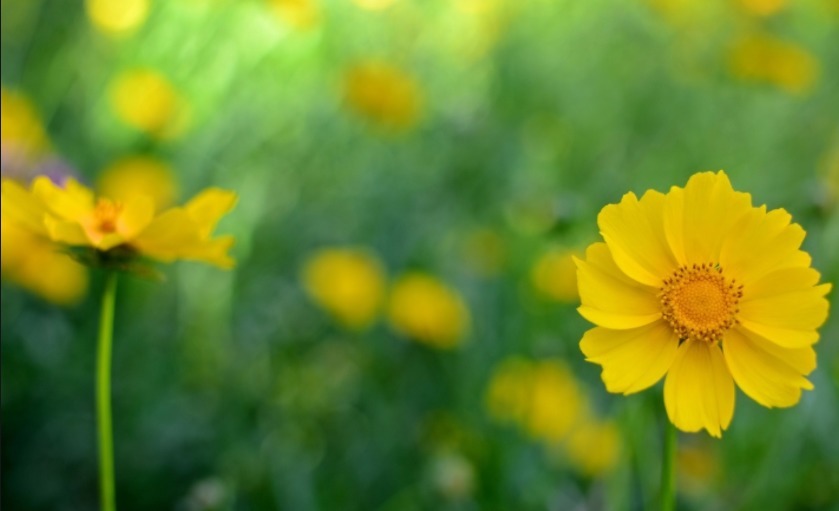 晴风|你以为的养生,其实是假的,真正的养生只有两个字