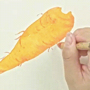 示范&用没骨技法画胡萝卜和鸢尾花,这样的示范案例领你入门