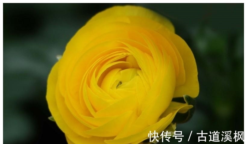 双子座|9月,转角遇旧爱的4大星座,偶遇真爱,再次牵手,人生幸福!