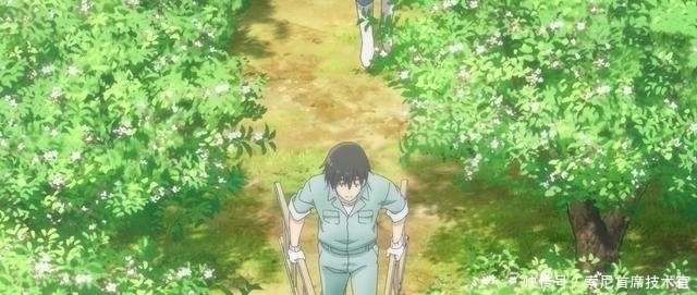 找到|这部番第一集就打开治愈系新世界,原来还有这种形式,找到宝藏了