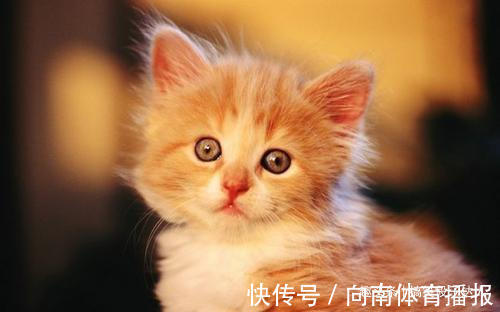 |开心笑话:表哥结婚那天,来了一个陌生人,给了一个大大的红包