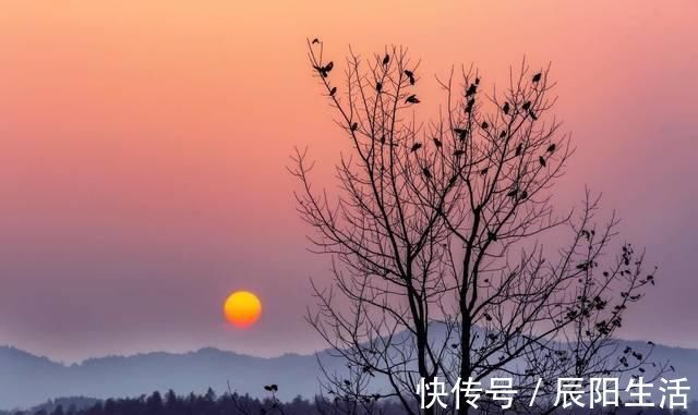 李白比|当你陷入迷茫的时候,不妨读读这五首诗,意境很美又能催人奋斗