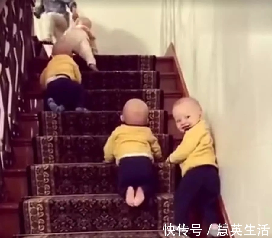 宝宝们|姐姐带四胞胎上楼梯,画面太有喜感了,妈妈看见了哭笑不得