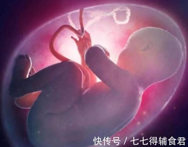 熟睡期|怀孕中的宝妈注意了,这2个阶段是胎儿“熟睡期”,不要轻易打扰