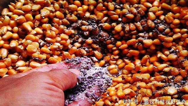 钓友|别人上鱼你不上鱼，埋怨根本没用，运用这3个技巧，钓到鱼不难