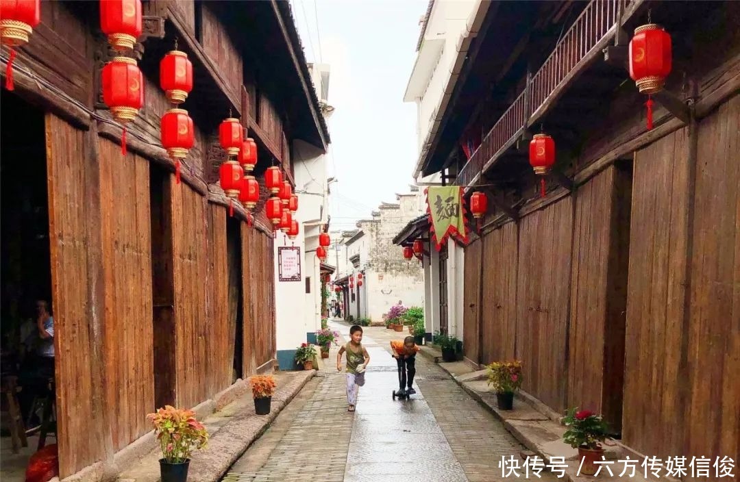 双城|婺语倾城:婺城“花香”沁九州