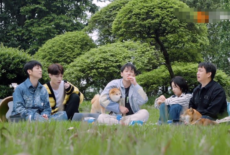 節(jié)目|一個(gè)鏡頭都舍不得錯(cuò)過(guò)，這一期《向往5》，才是原汁原味的熟悉感