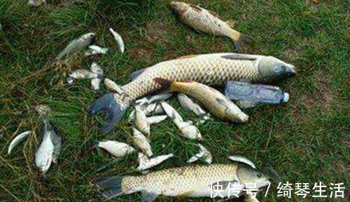 跑铅钓的五步调漂法，野钓常用的跑铅钓法，还有这些隐藏优势！