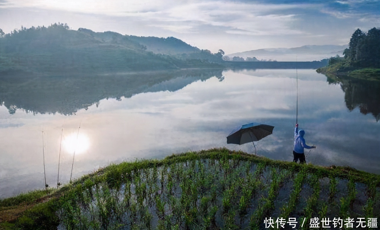 江河野钓不容易,学会这四招,爆护跑不了!——盛世三渔