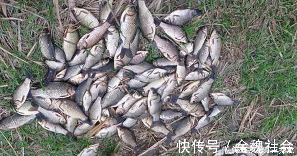 窝点|钓鱼技巧:鲜为人知的钓鱼冷知识,看似没用,其实影响了渔获量