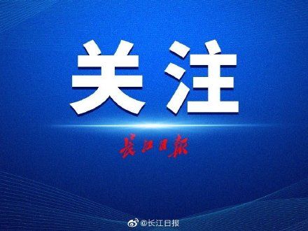 武汉多所示范高中公布预估线