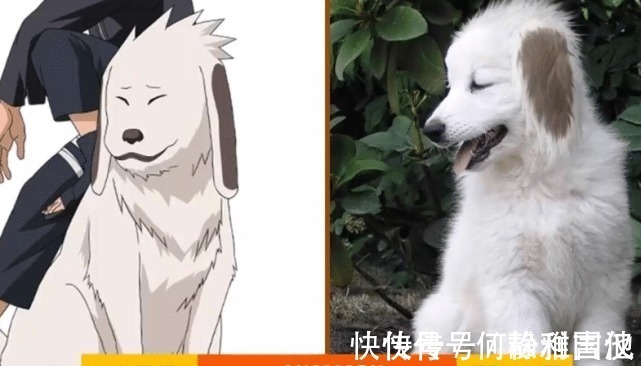 还原|火影忍者真人还原雏田和鸣人定情之吻，神仙颜值瞩目，画面竟比动漫还美！