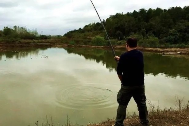 冬钓鲫鱼,两个“黄金时辰”出门,下钓渔获必翻番