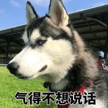 |幽默笑话:前女友来电,向我推销保险