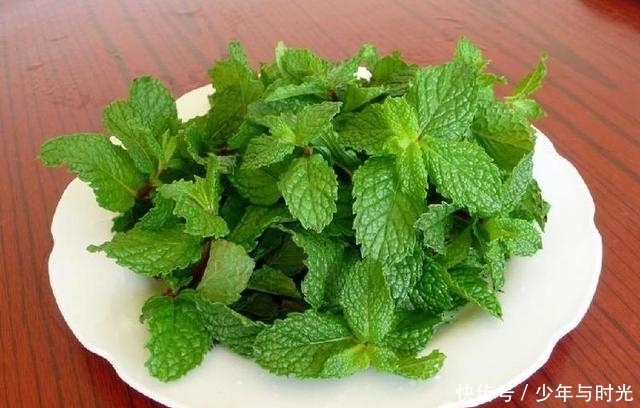 女性到了中年,推薦3種食物,健脾養胃,排毒清腸,補益身體