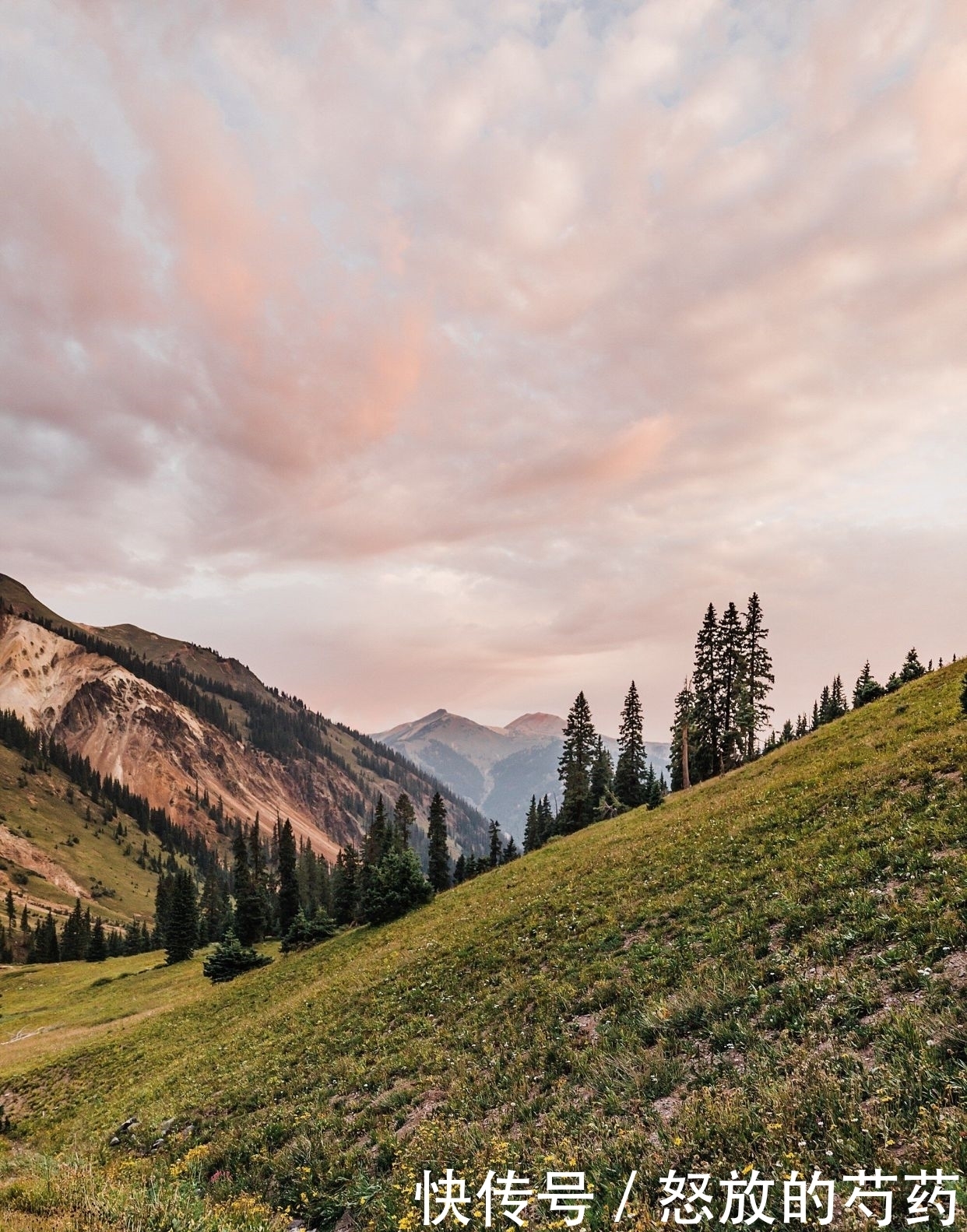 精髓|化氏饵料归类：最全化氏饵料配方大全【转载分享】（精髓）