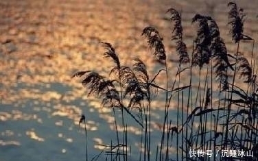 萋萋$十五首描写小草的古诗词，为君闲暇助兴，茶余饭后解闷