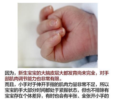 新手|郎朗晒娃又被批？这次冤枉！新手准爸妈还有哪些母婴常识需注意？