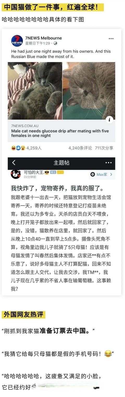|搞笑图集:一个宿舍42个学生,网友:养猪都不敢这么养啊