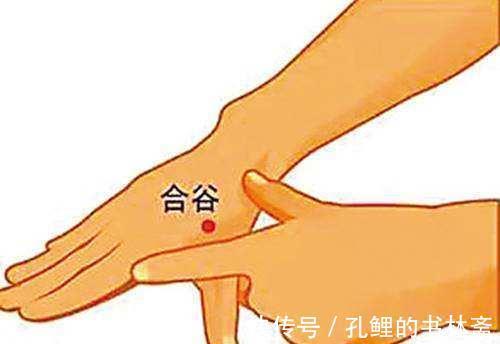 内关穴|养生不花钱!8大防病祛病穴,每天按一按,从头到脚都健康