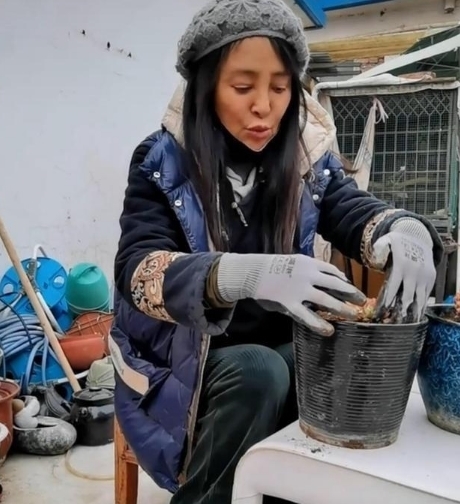 院子|58岁李勤勤太落魄，房子破旧废品乱堆，大院变成植物园