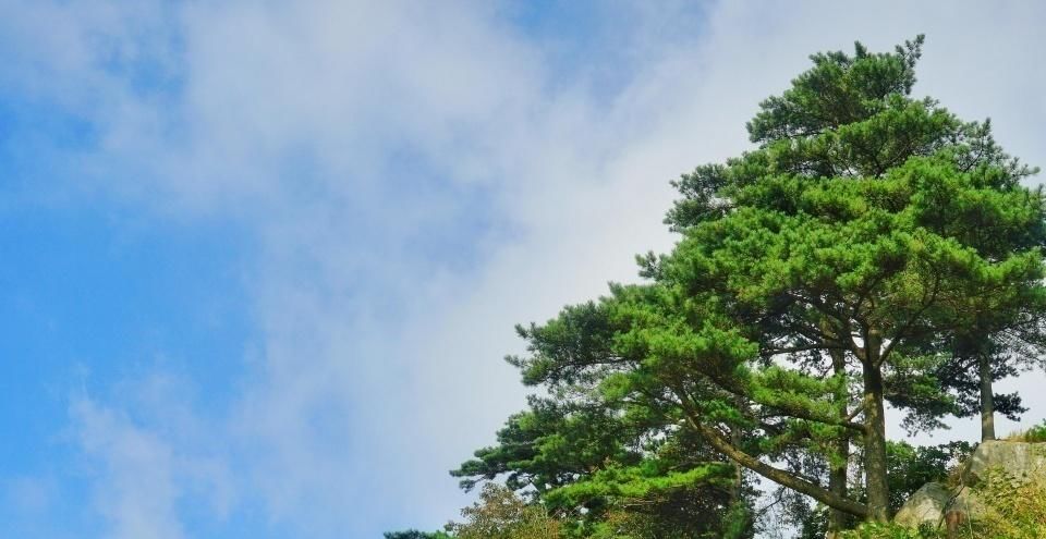 探险|大别山尚未被完整开发的主峰，正是登高探险、避暑纳凉的好去处