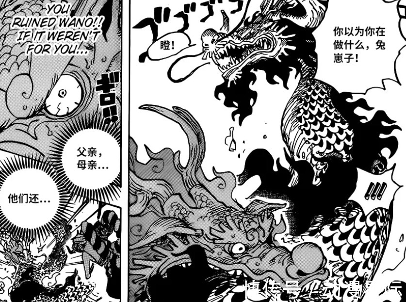 热息|海贼王1026话:桃之助的热息比凯多更强?路飞霸王色再度升级