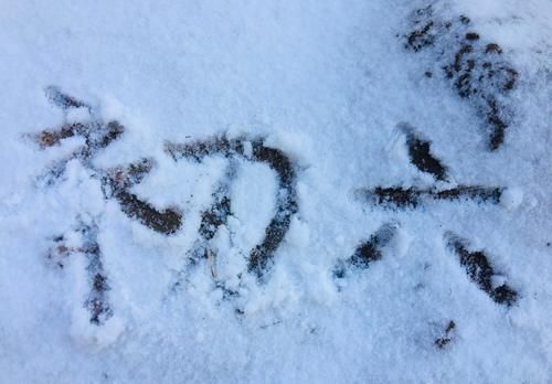 中年|正月初六,威海的雪:粉妆玉砌,银装素裹