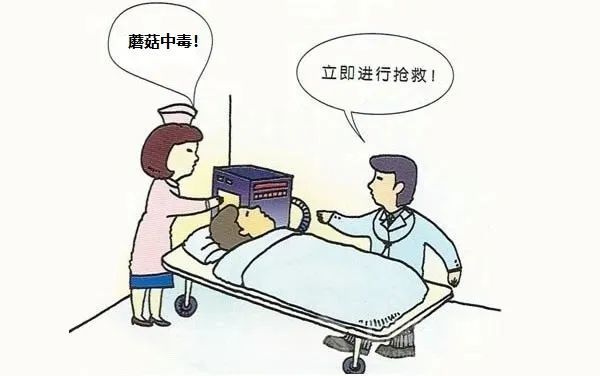 急性肾衰竭|吃了这“美食”，一对父子、一双小情侣徘徊生死边缘！专家：别再吃了！